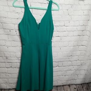 Charlotte Russe womens dress V neck NWT